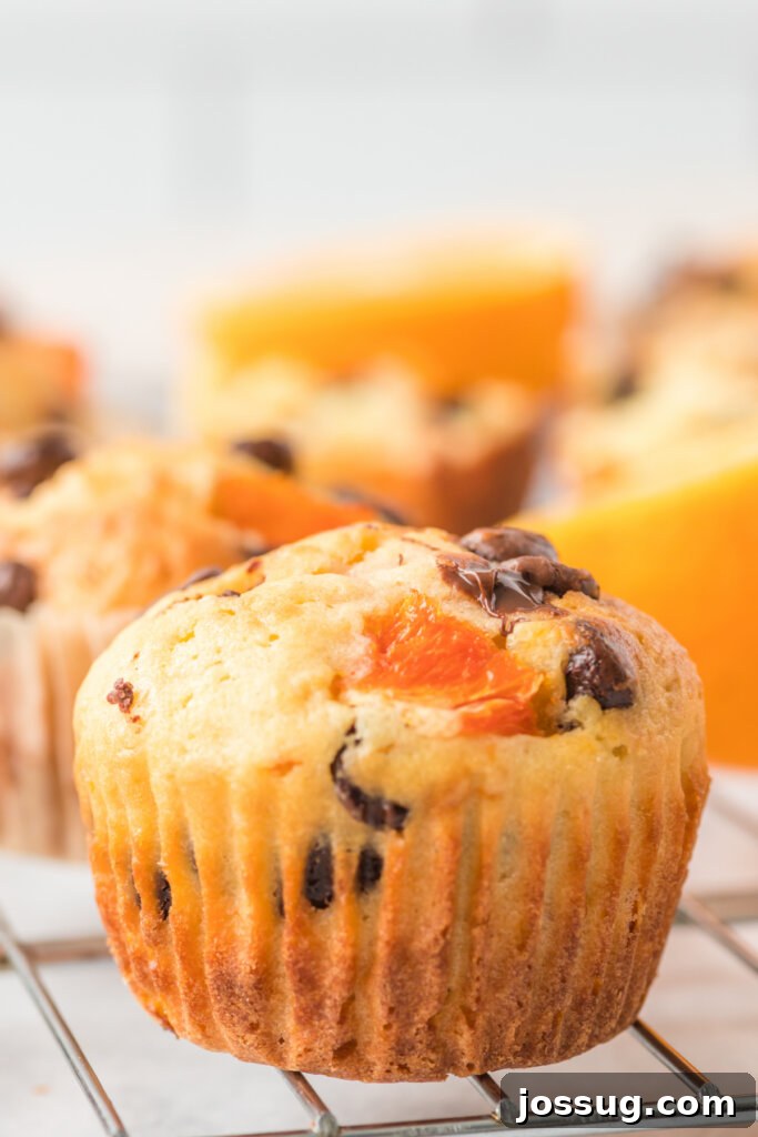 Sunshine Citrus Muffins 5 A close-up shot of a single orange chocolate chip muffin on a wire cooling rack, highlighting its perfectly baked dome and visible citrus zest.
