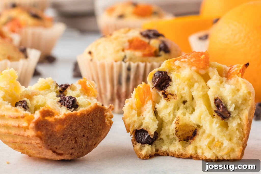 Sunshine Citrus Muffins 6 A vibrant orange muffin, split in half, revealing its tender, moist interior dotted with melted chocolate chips and real orange pieces.