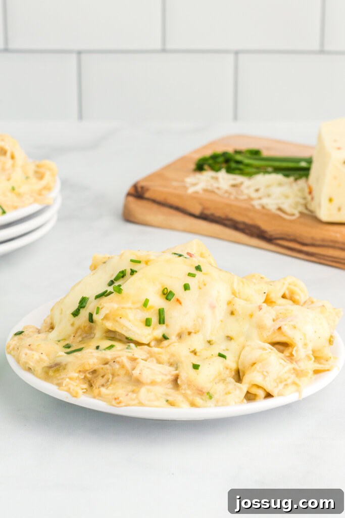 Creamy Dreamy Crockpot Chicken Enchiladas 2 Delicious Crockpot Creamy Chicken Enchiladas served on a plate, garnished with fresh chives
