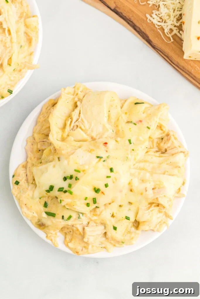 Creamy Dreamy Crockpot Chicken Enchiladas 5 Looking down onto a plate with creamy chicken enchiladas