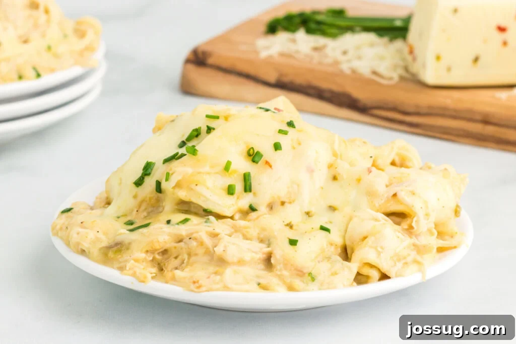Creamy Dreamy Crockpot Chicken Enchiladas 6 Slow cooker chicken enchiladas on plate with chives