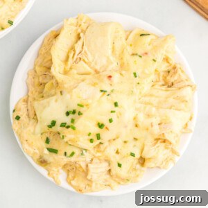 crockpot creamy chicken enchiladas portion on a plate