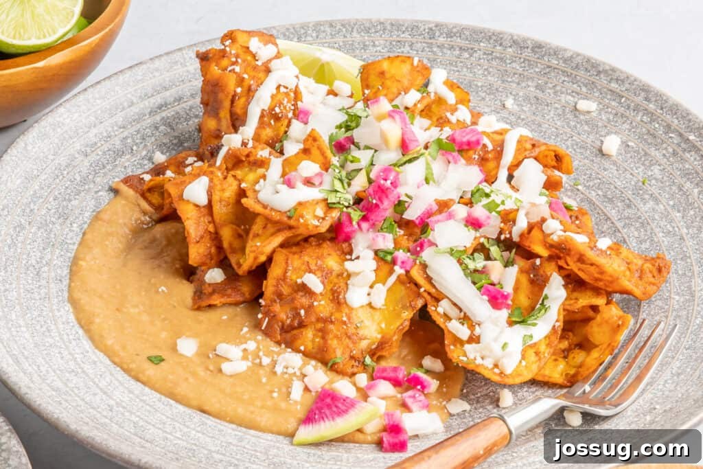 Decadent Mole Chilaquiles 11 closeup of mole chilaquiles on plate