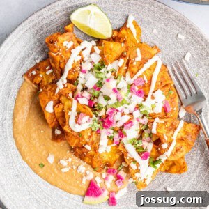 mole chilaquiles on gray plate
