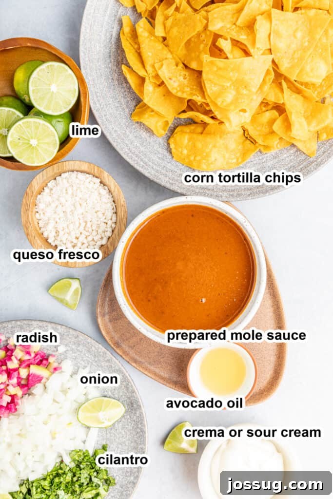 Decadent Mole Chilaquiles 3 ingredients to make mole chilaquiles