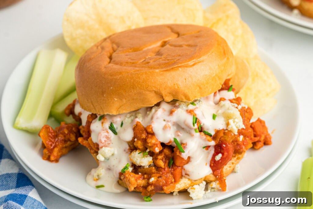 A single Buffalo Chicken Sloppy Joe artfully presented on a white plate.