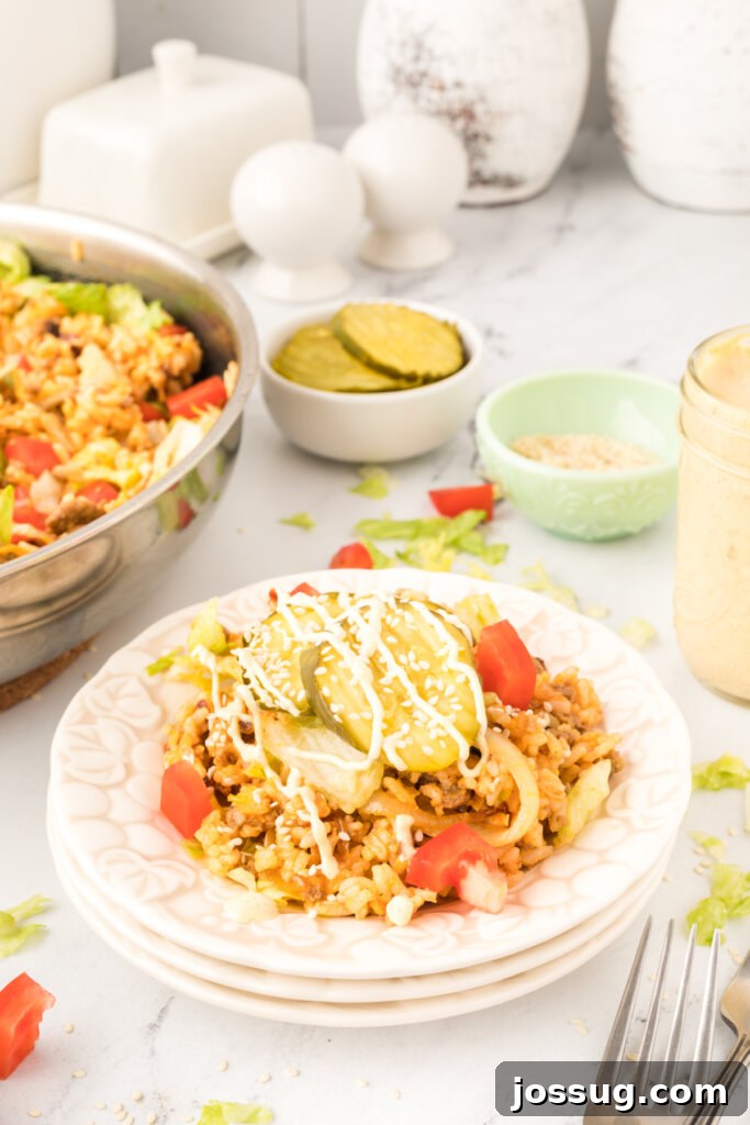 cheeseburger fried rice on plate