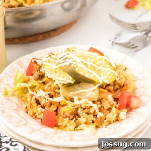 portion of cheeseburger fried rice on plate