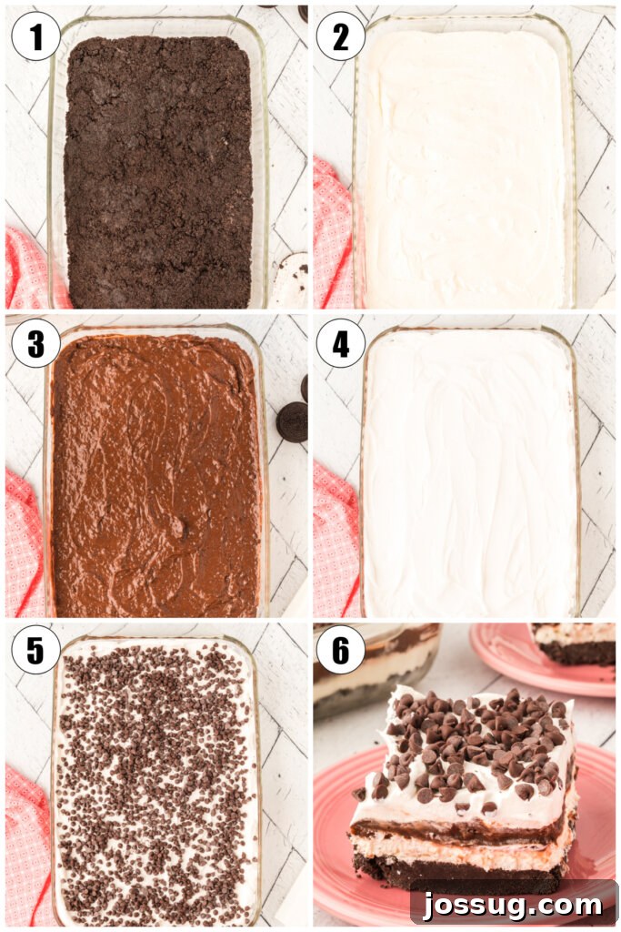 Chocolate Lasagna Delight 3 layers of chocolate lasagna lush