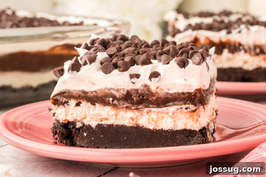 Chocolate Lasagna Delight 6 slice of chocolate lasagna lush on pink plate