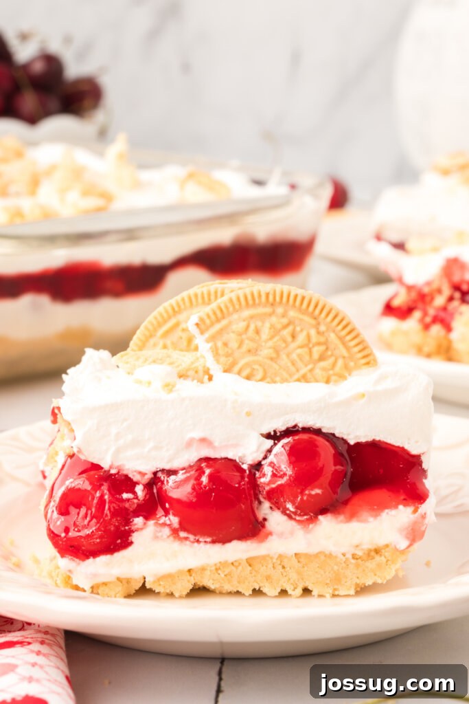 A perfectly sliced piece of Cherry Lasagna Lush on a pristine white plate, showcasing its distinct layers of golden crust, creamy white filling, and vibrant red cherry topping.