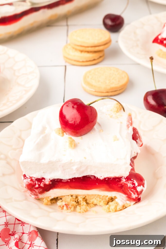 A top-down view of a single slice of Cherry Lasagna Lush, showing off the perfectly stacked layers and inviting texture.