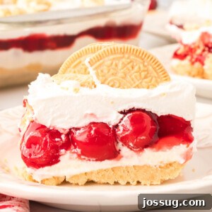 closeup of a slice of Cherry Lasagna Lush