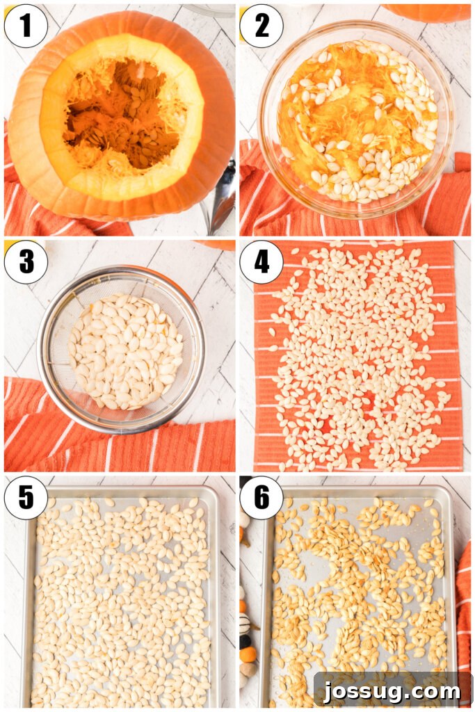Crunchy Golden Pumpkin Seeds 4 steps to make roasted pumpkin seeds