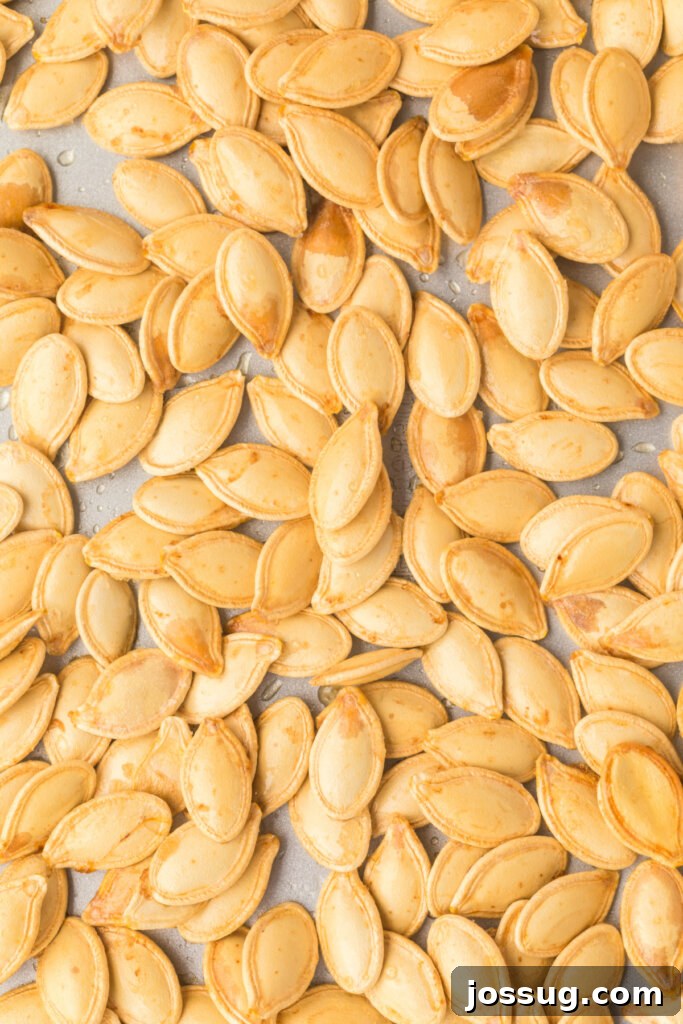 Crunchy Golden Pumpkin Seeds 5 closeup of roasted pumpkin seeds