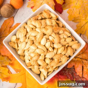 Crunchy Golden Pumpkin Seeds 7 roasted pumpkin seeds in square white bowl