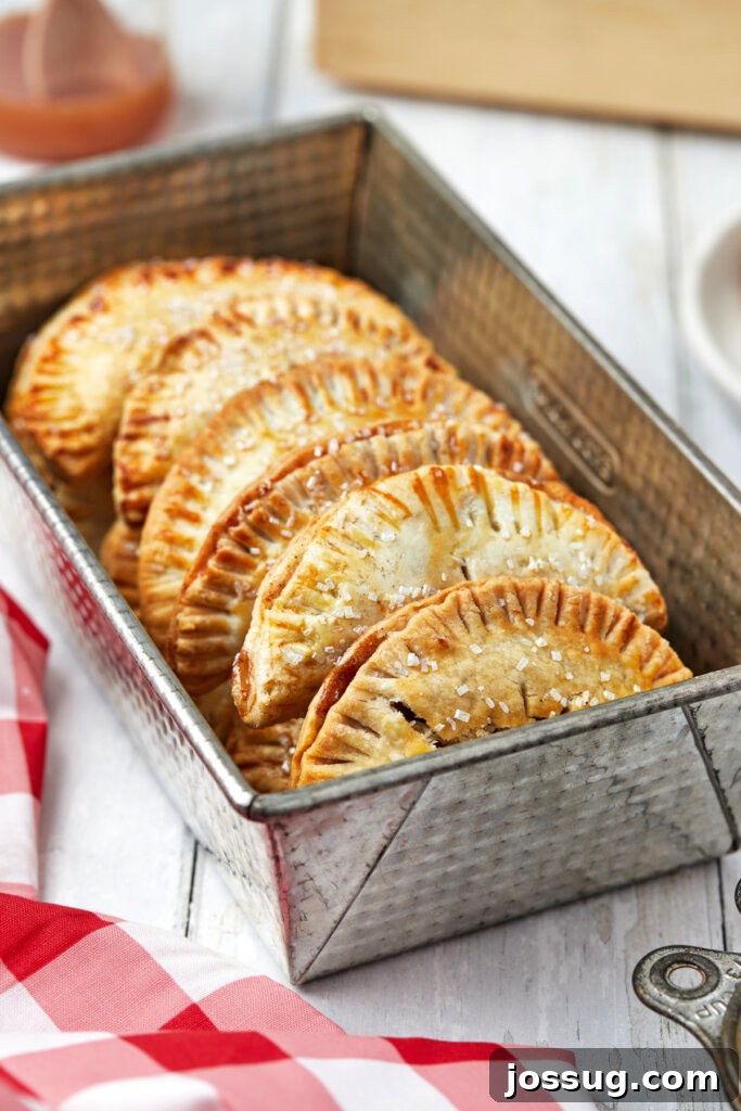 Golden Air Fryer Apple Hand Pies 2 air fryer apple hand pies in metal container
