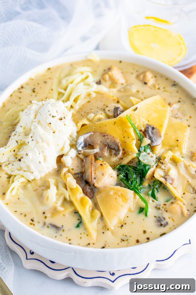closeup of chicken alfredo lasagna soup in bowl