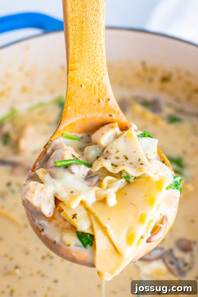 ladle with chicken soup