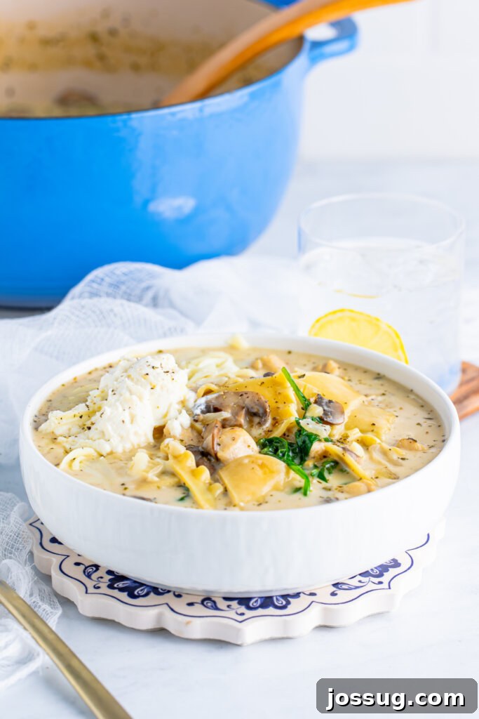 bowl of chicken alfredo lasagna soup