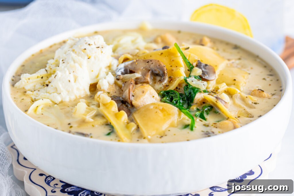 chicken alfredo lasagna soup in white bowl