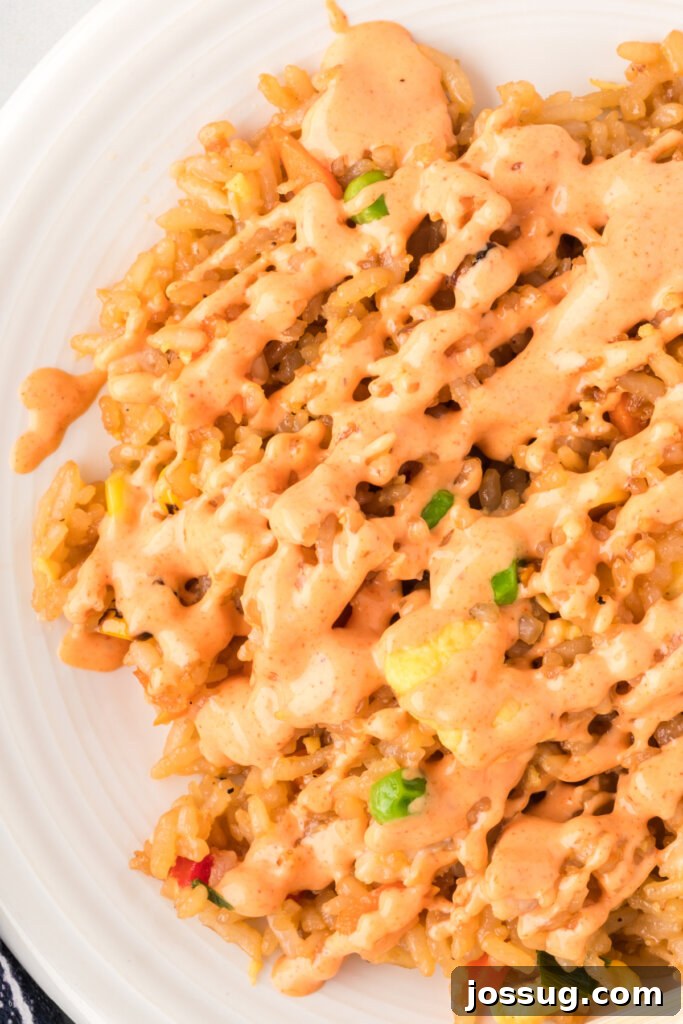 Irresistible Dipping Sauce 6 Fried rice topped generously with cooked chicken and a beautiful drizzle of homemade Yum Yum Sauce, showcasing a delicious meal idea.