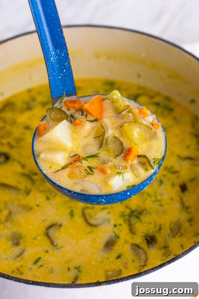 Creamy Dill Pickle Delight 4 A ladle full of creamy dill pickle soup being served from a large pot, highlighting its rich texture and chunks of potato and pickle.