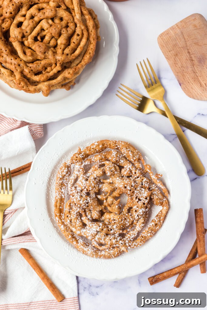 Autumn Spice Swirl Cakes 4 A close-up view looking down onto a single, perfectly golden Pumpkin Spice Funnel Cake on a plate.