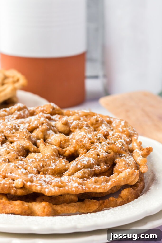 Autumn Spice Swirl Cakes 5 Two warm Pumpkin Spice Funnel Cakes, fresh from the fryer, sitting on a plate.