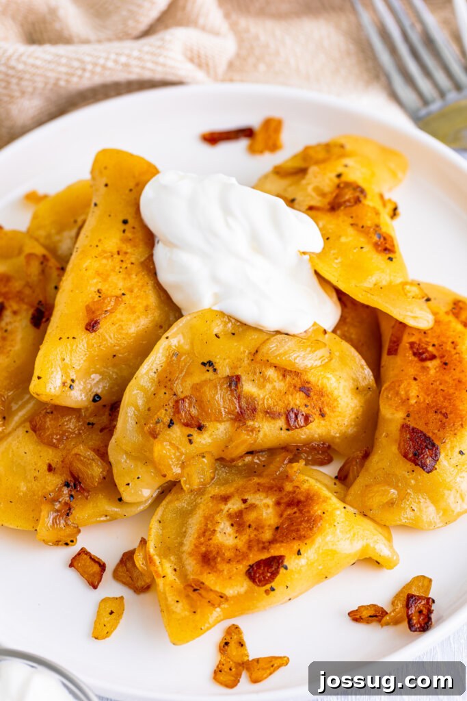 closeup of pierogi on plate