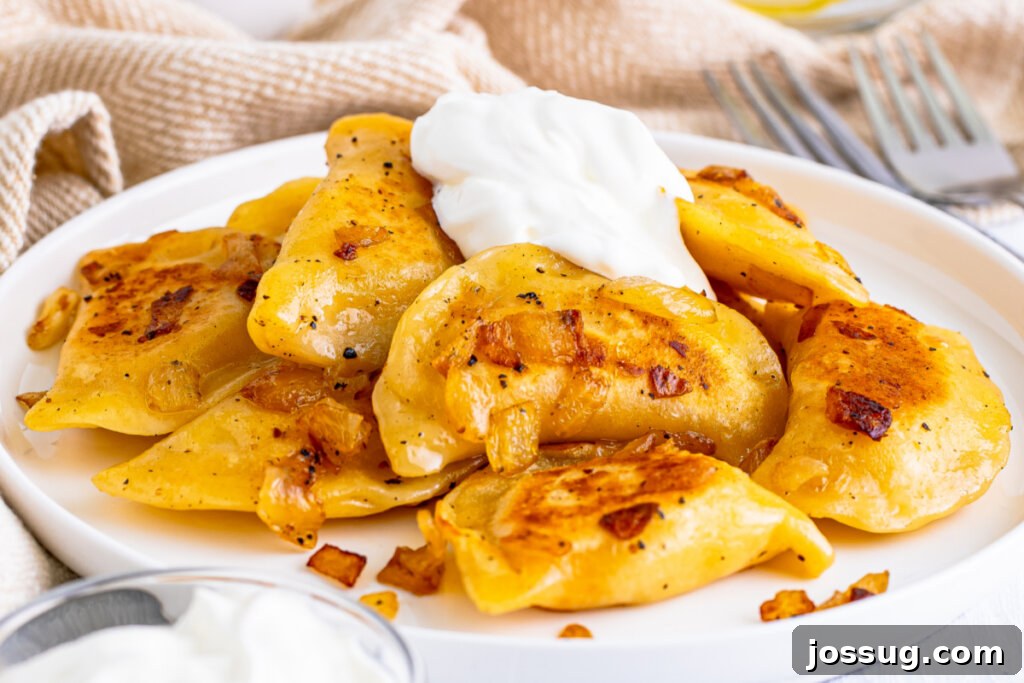 pierogi on white plate