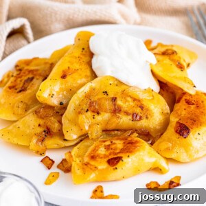 closeup of pierogi on plate