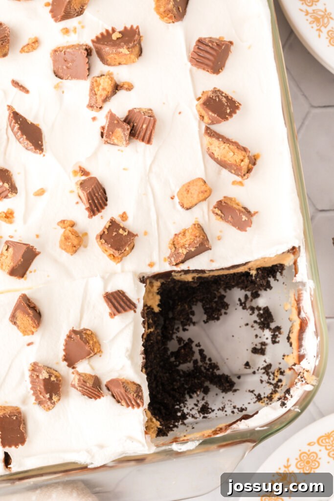 Peanut Butter Cup Dream Lasagna 4 An overhead view looking down into a glass baking dish, revealing the distinct layers of chocolate peanut butter dessert ready for chilling.