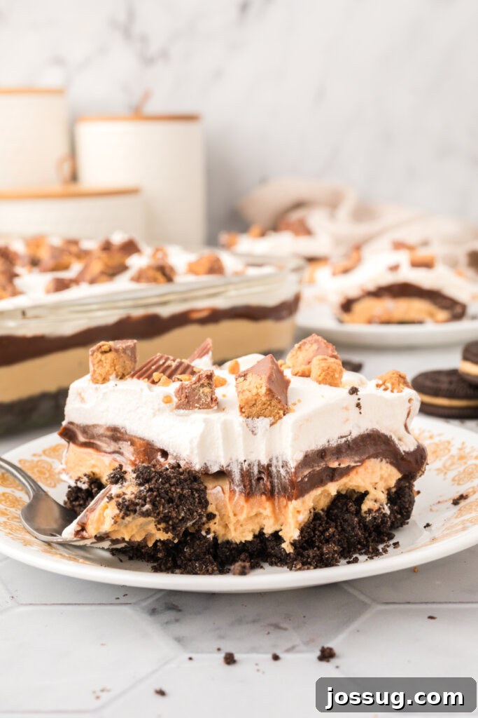 Peanut Butter Cup Dream Lasagna 5 A perfectly cut slice of Peanut Butter Cup Lasagna Lush on a plate, showing all the decadent layers and toppings.