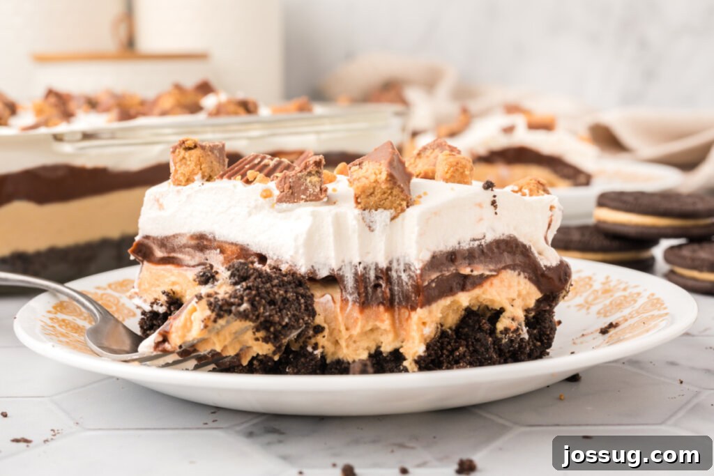 Peanut Butter Cup Dream Lasagna 6 A vibrant slice of chocolate peanut butter dessert with distinct layers on a white plate, ready to be enjoyed.