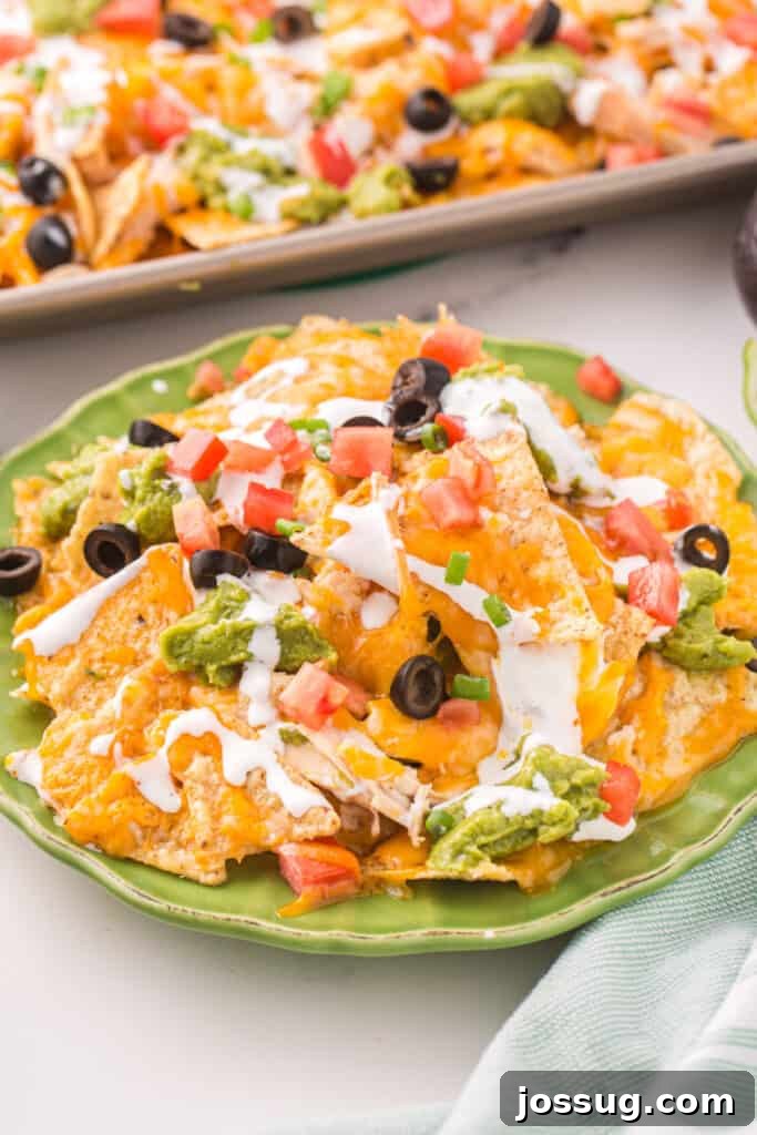Loaded Chicken Nachos 2 portion of chicken nachos on plate