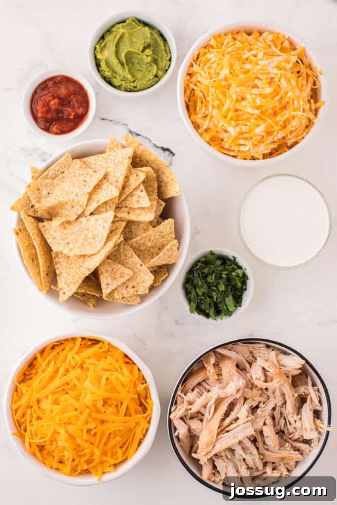 Loaded Chicken Nachos 3 ingredients to make chicken nachos
