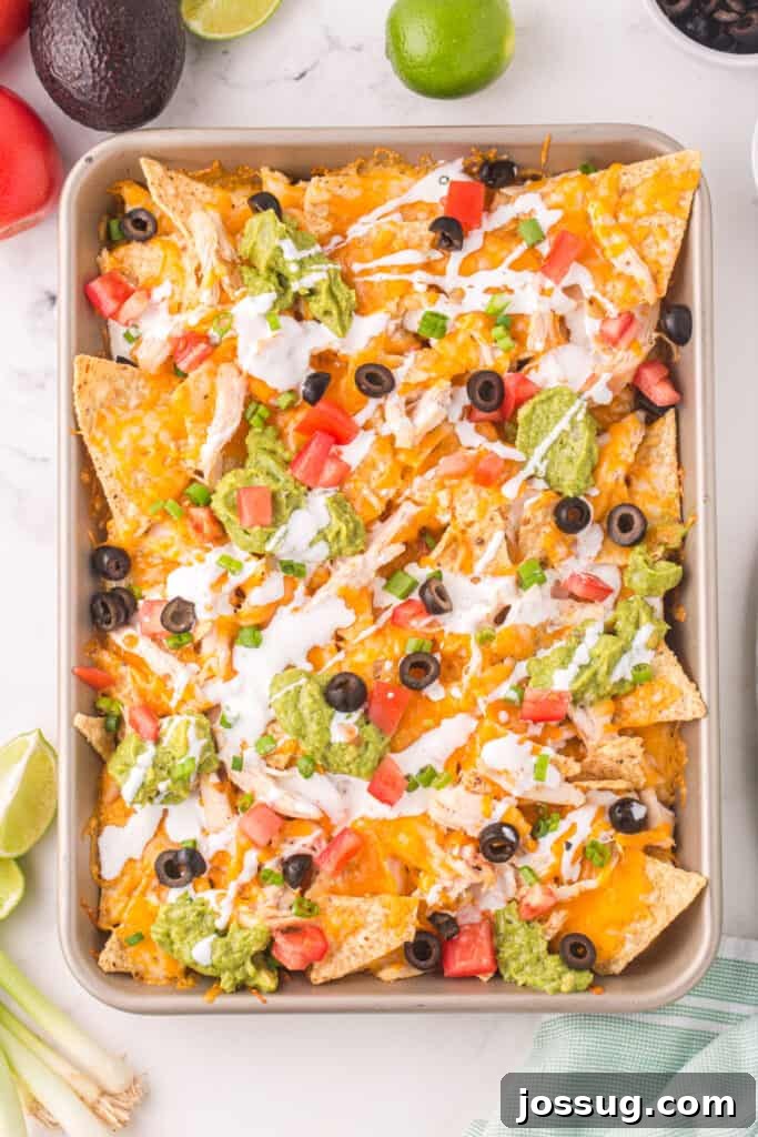 Loaded Chicken Nachos 4 looking down onto a sheet pan filled with chicken nachos