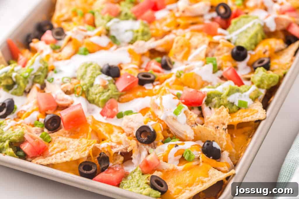 Loaded Chicken Nachos 6 sheet pan filled with chicken nachos