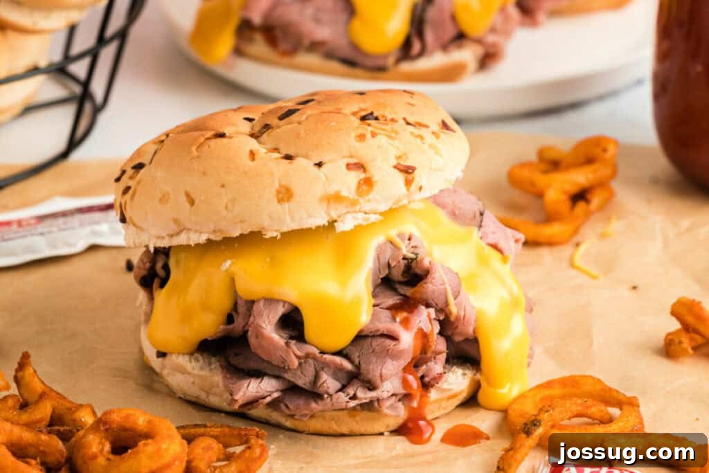 A single, perfectly crafted Arby's Beef and Cheddar sandwich on brown paper, surrounded by golden curly fries, capturing the full fast-food dining experience at home.