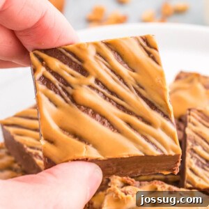 Decadent Chocolate Peanut Butter Fudge 6 closeup of chocolate peanut butter fudge