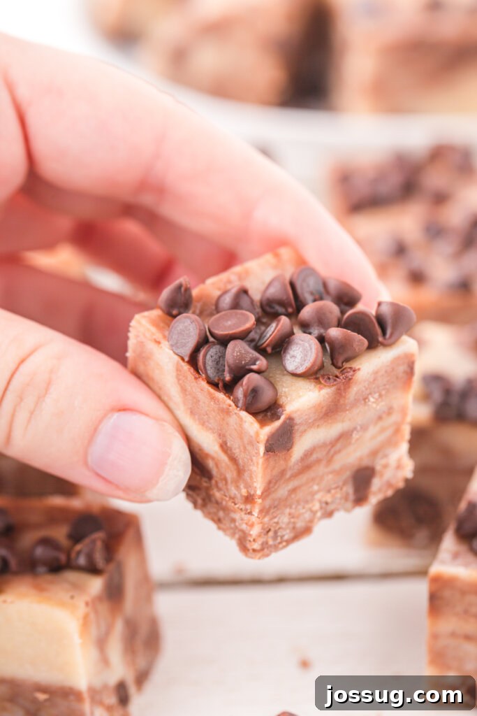 Fudgy Cookie Dough Delight 4 hand holding a piece of cookie dough fudge