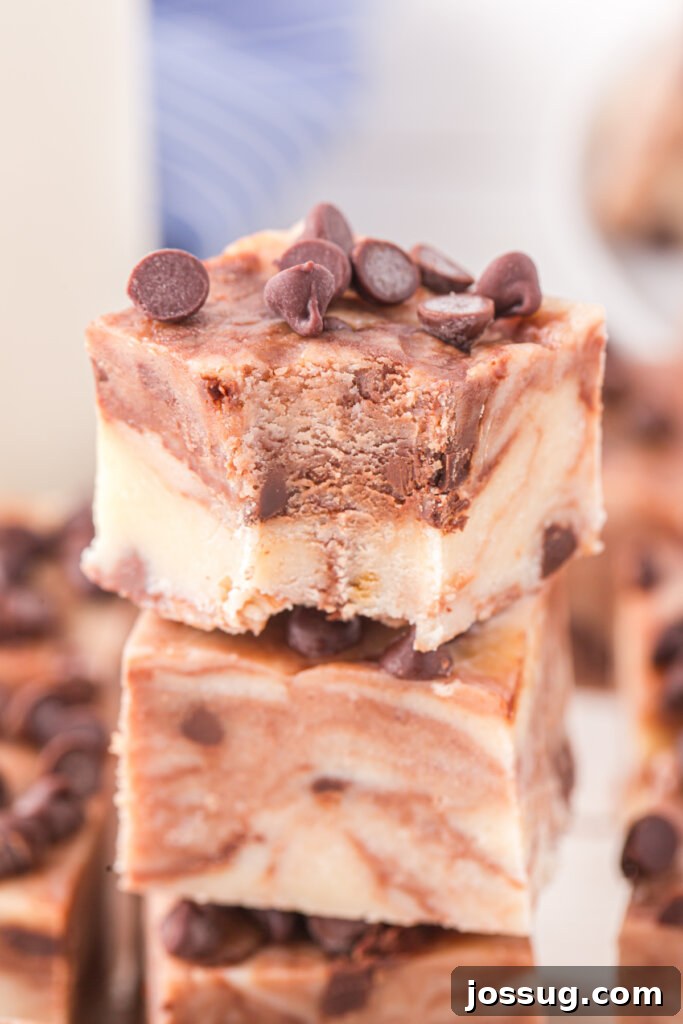 Fudgy Cookie Dough Delight 5 piece of bitten cookie dough fudge showing the inside texture of the fudge