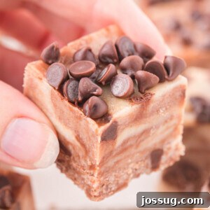 Fudgy Cookie Dough Delight 7 closeup of cookie dough fudge