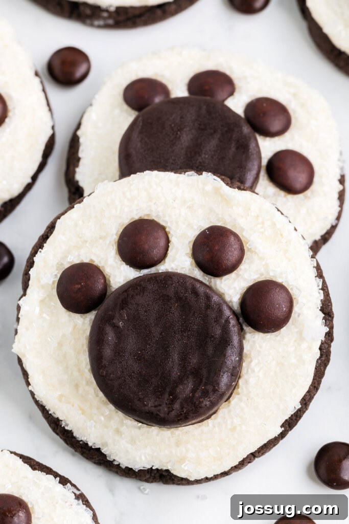 Arctic Paw Prints 5 Two perfectly decorated Polar Bear Paw Cookies presented side by side on a clean surface