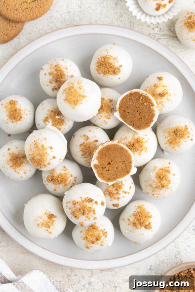 Beautifully arranged homemade gingerbread truffles, dusted with a touch of snow-like sugar, ready to delight at a holiday gathering.
