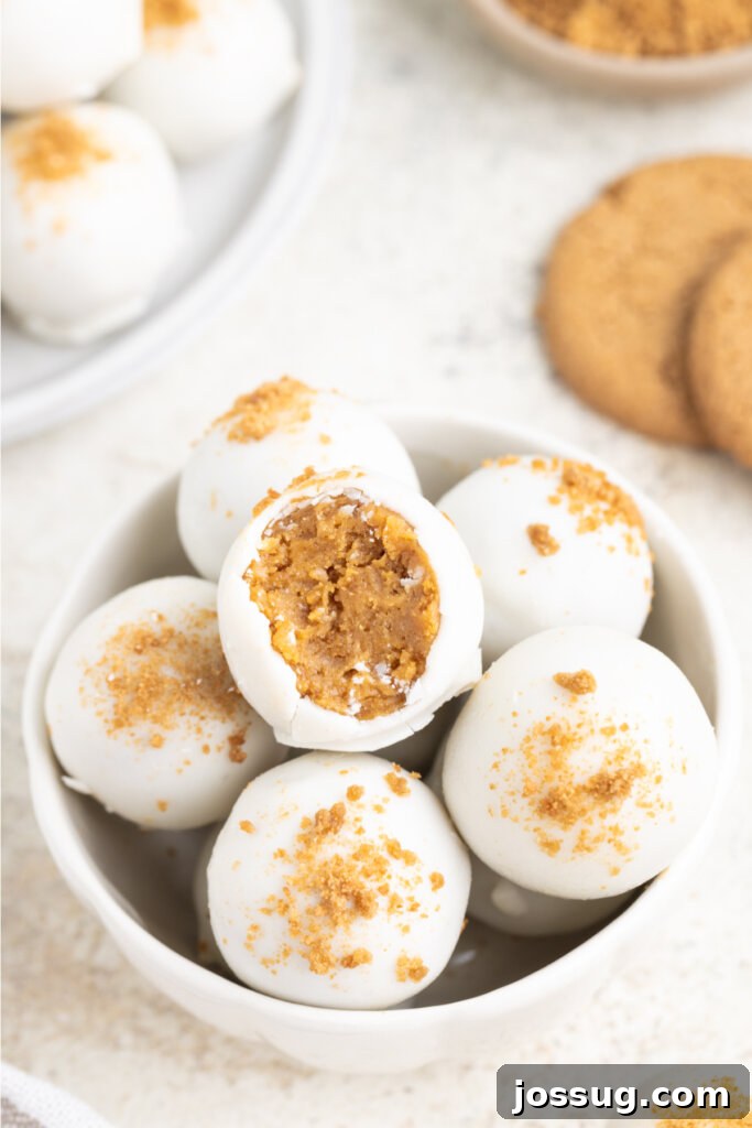 A charming bowl filled with beautifully coated gingerbread truffles, garnished with sprinkles, inviting guests to enjoy.