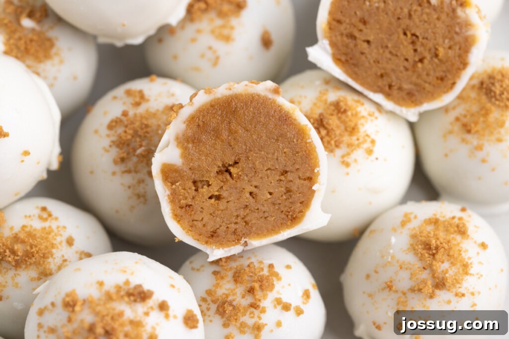 A detailed close-up of the interior of a gingerbread truffle, revealing its rich, spiced crumb texture and smooth coating.