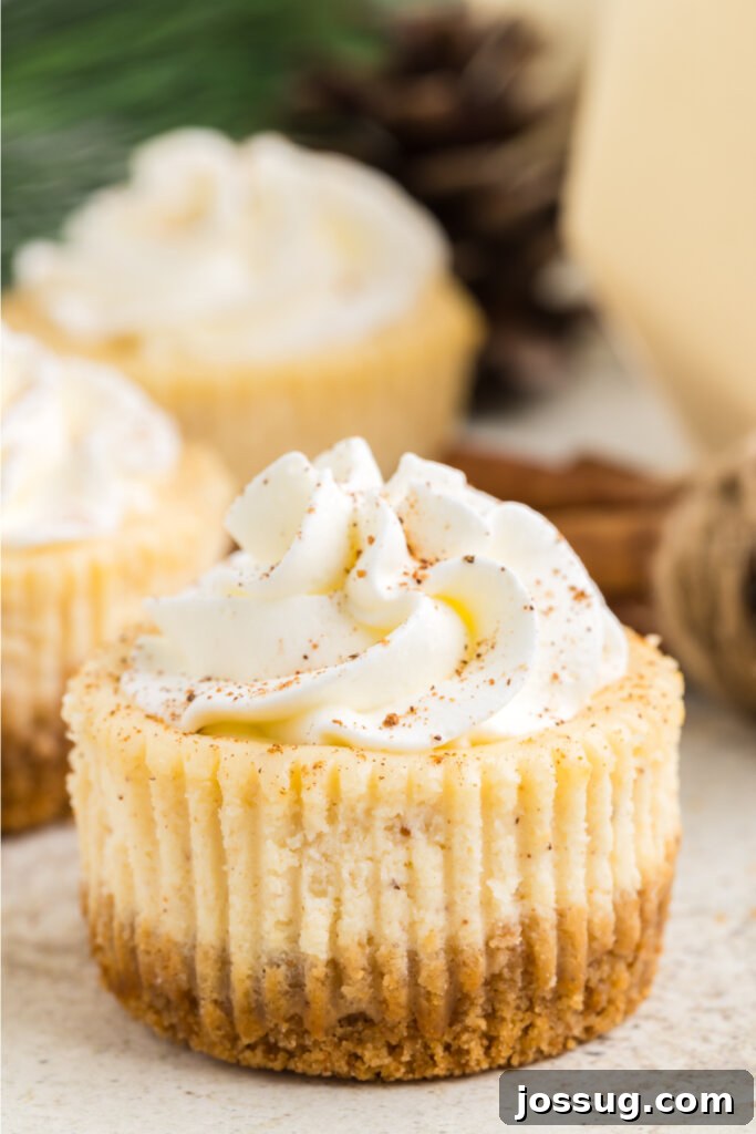 Festive Eggnog Cheesecake Bites 2 mini eggnog cheesecakes ready to eat