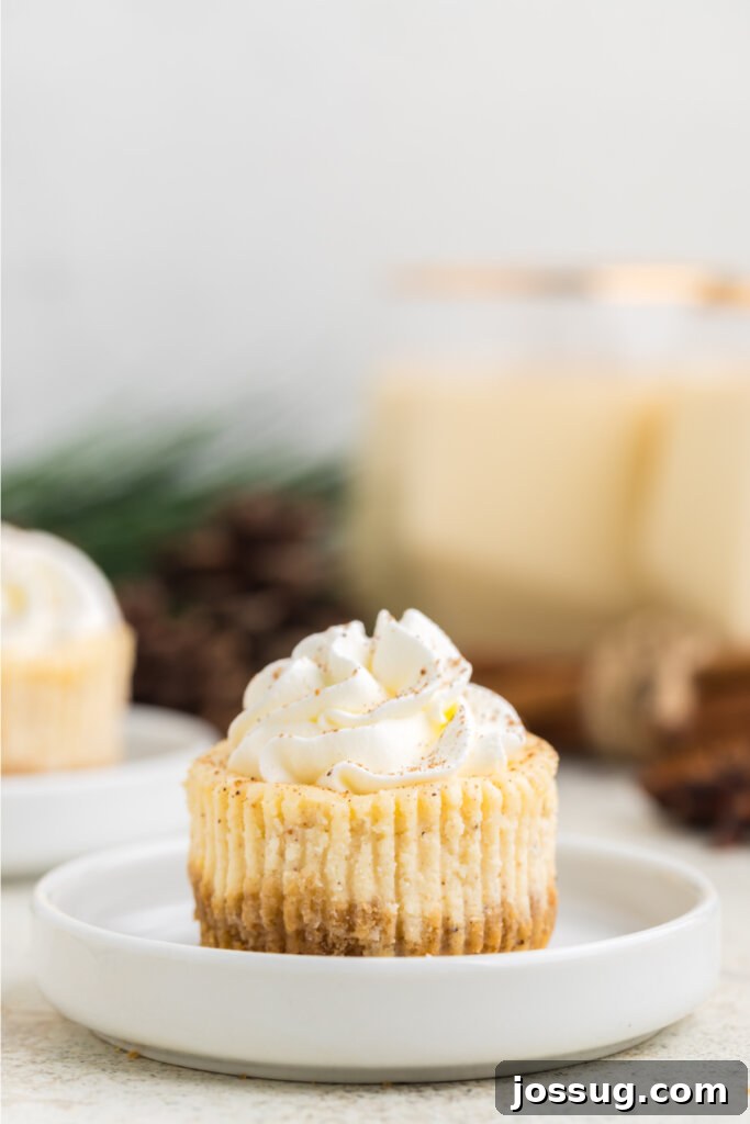 Festive Eggnog Cheesecake Bites 4 mini eggnog cheesecake on plate